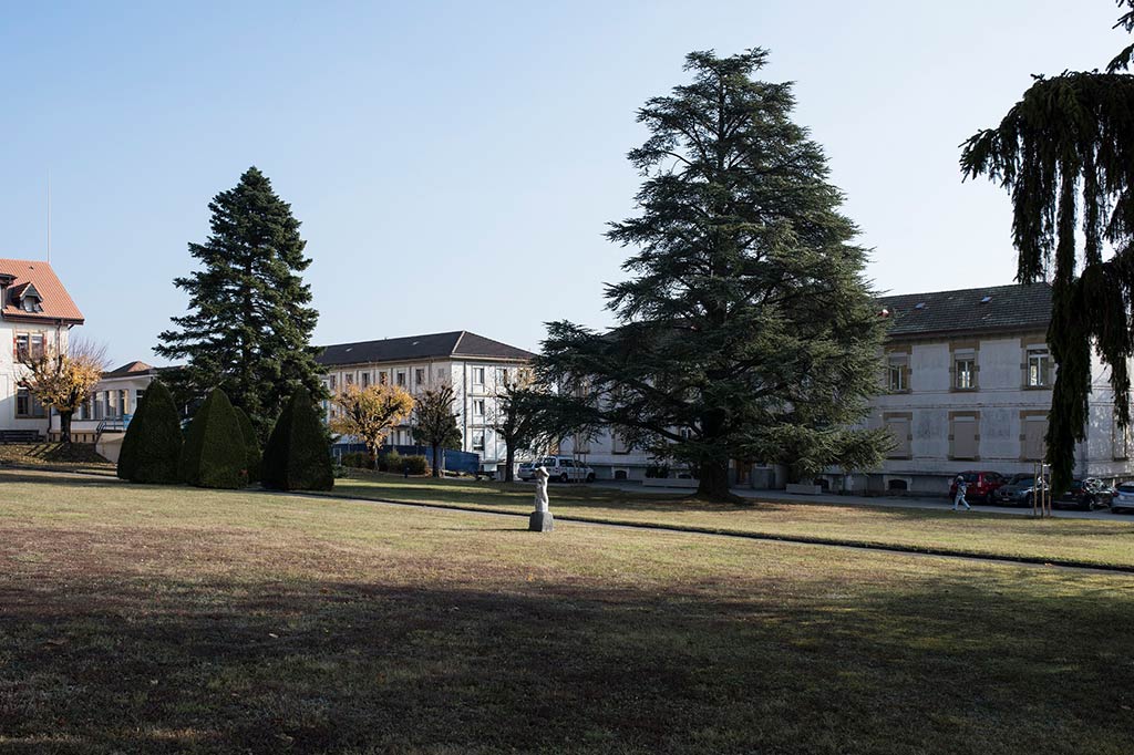 Un grande parco con vecchi alberi e sullo sfondo vari edifici in cui vivono i richiedenti l’asilo.